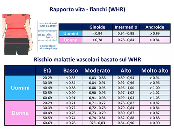 Grafico che mostra il rapporto vita-fianchi e il rischio di malattie vascolari basato sul WHR