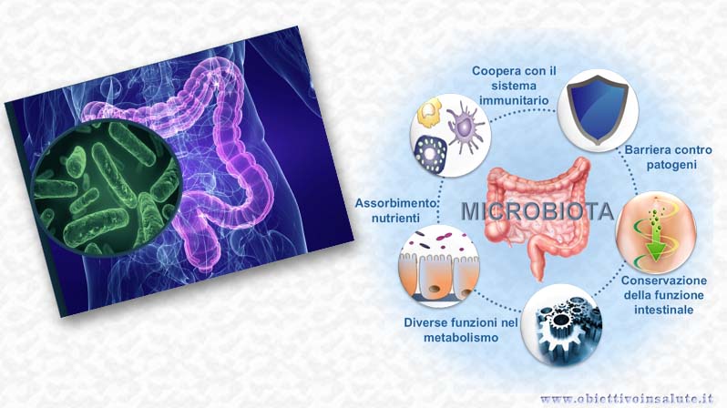 Immagine che evidenzia i vantaggi del microbiota, come: coopera con il sistema immunitario; è una barriera contro i patogeni; aiuta a conservare la funzione intestinale; aiuta nell'assorbimento dei nutrienti