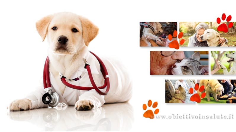Labrador con uno stetoscopio e sullo sfondo diverse immagini di persone abbracciate a cani e gatti