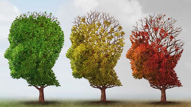 Tre alberi con le chiome a forma di testa umana in cui il secondo ha meno foglie del primo e il terzo ha ancora meno foglie del secondo, ricordando un cervello che si impoverisce a causa dell'Alzheimer