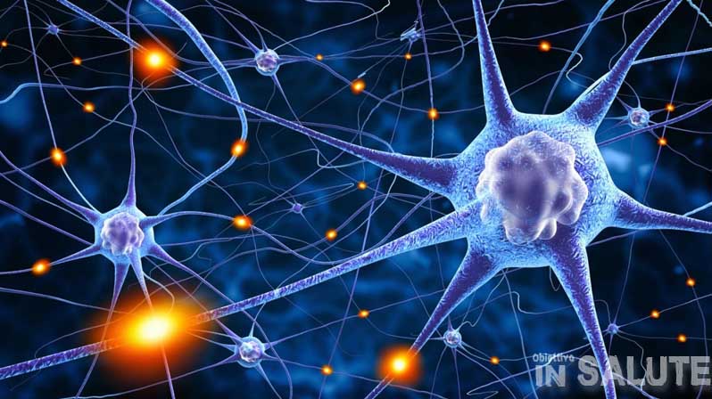 Neuroni e sinapsi