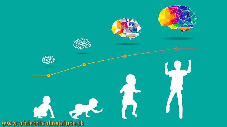 Schema della crescita del bambino e dell'evoluzione del cervello da neonato ad adolescente