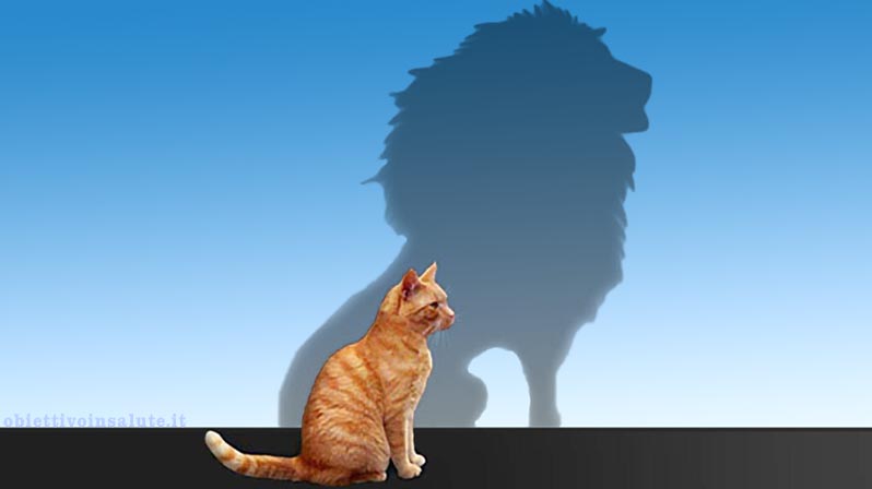 Immagine che rappresenta l'autostima, raffigurante un gatto rosso tigrato che di profilo, vicino al muro color cielo, rifletta l'ombra di un leone enorme e maestoso