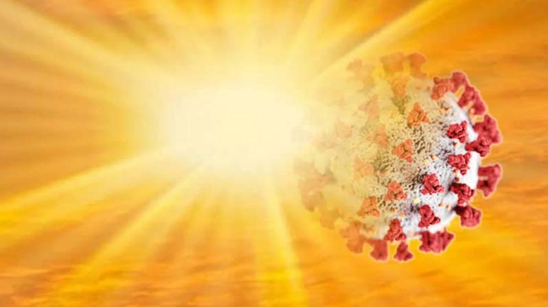 Il coronavirus esposto al sole